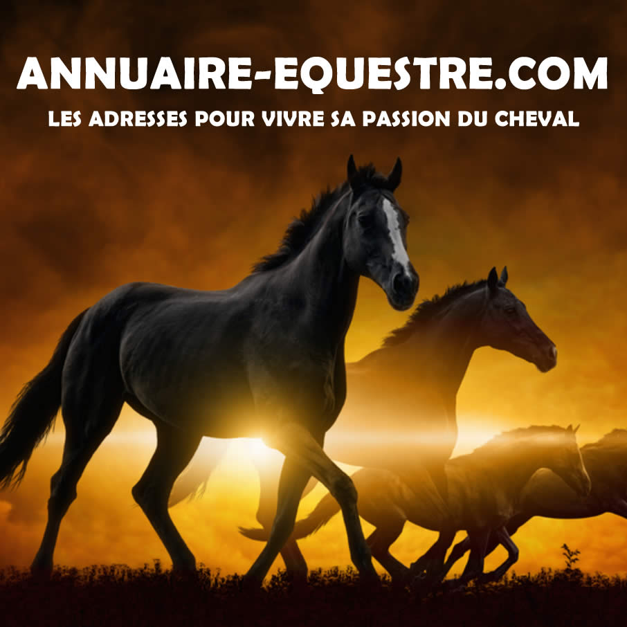 (c) Annuaire-equestre.com