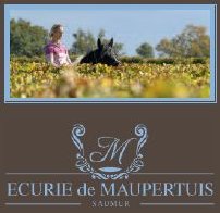 Ecurie de Maupertuis - Saumur
