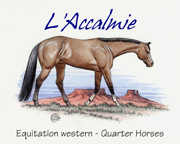 L\'ACCALMIE QUARTER HORSES