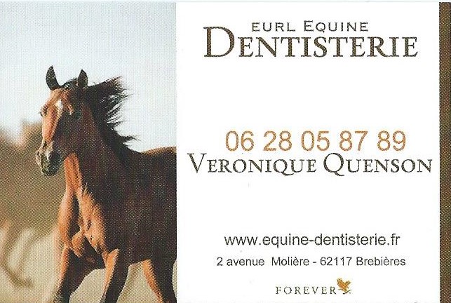 Eurl Equine Dentisterie