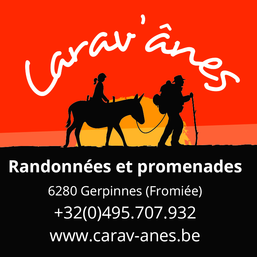 CARAV\'ANES