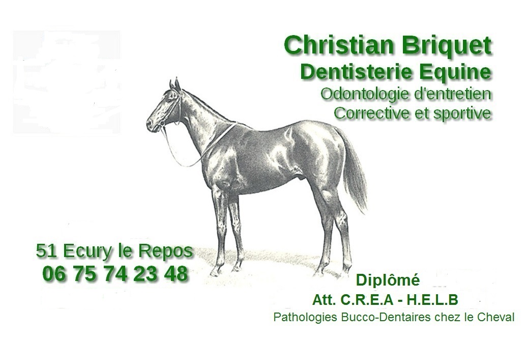 Dentisterie équine Briquet christian