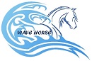 Wave Horse