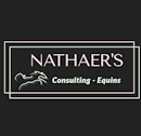 Nathaer\'s Consulting Equins
