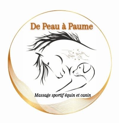 Thabault Angéline Masseur Equin