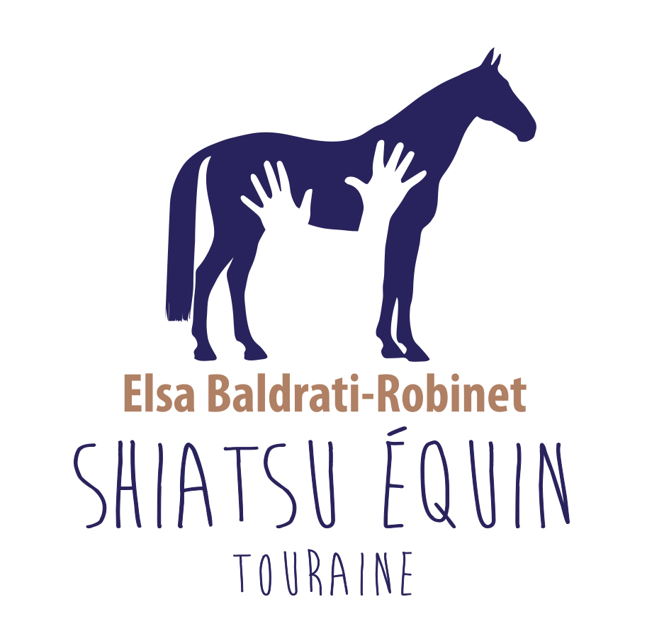 Shiatsu Équin Touraine