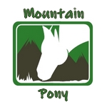 Mountain Pony 