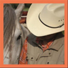 ETHOLOGIE EQUINE APPLIQUEE