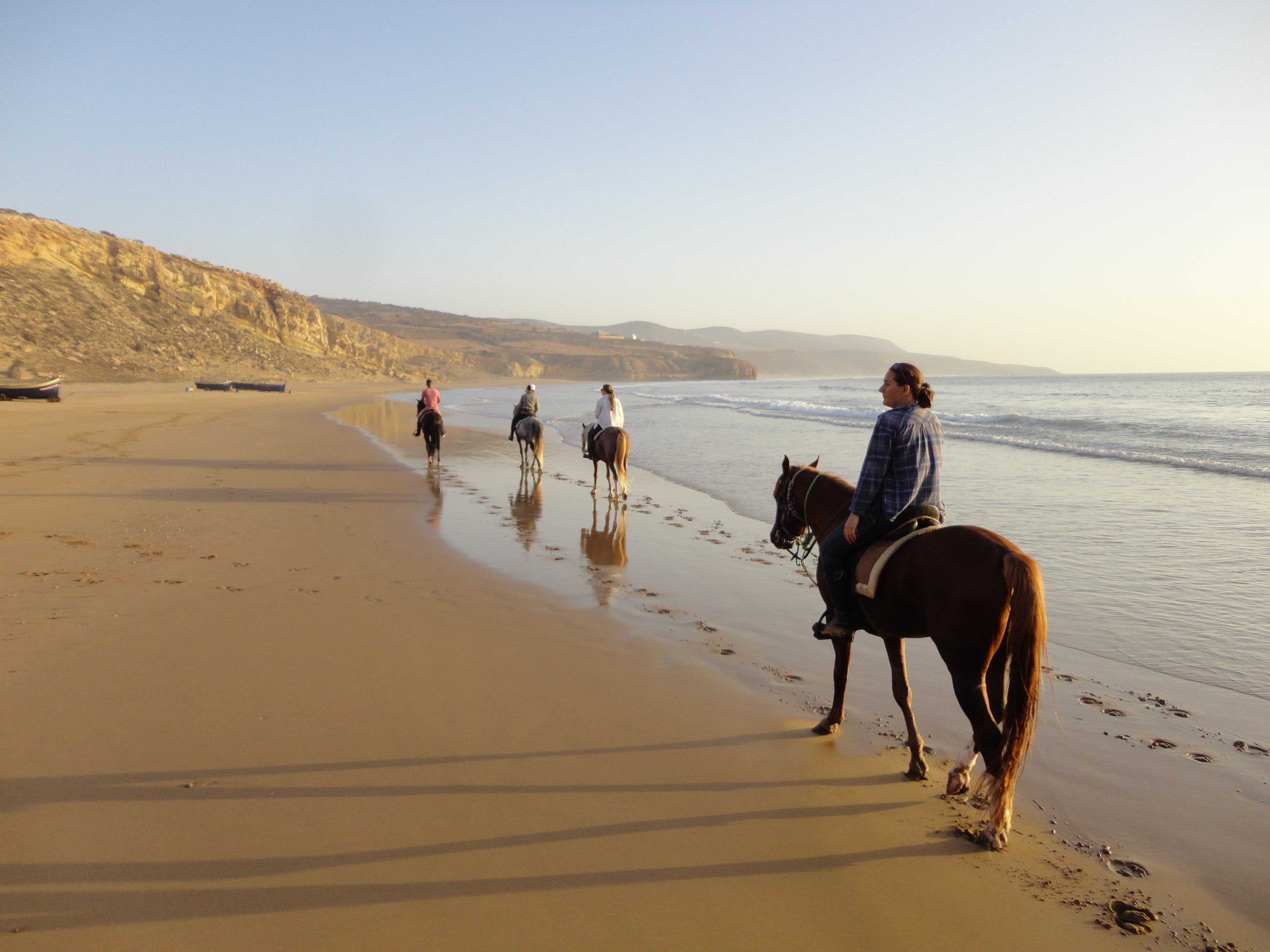 Zouina-cheval  Essaouira
